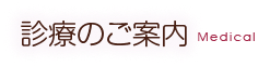 診療のご案内